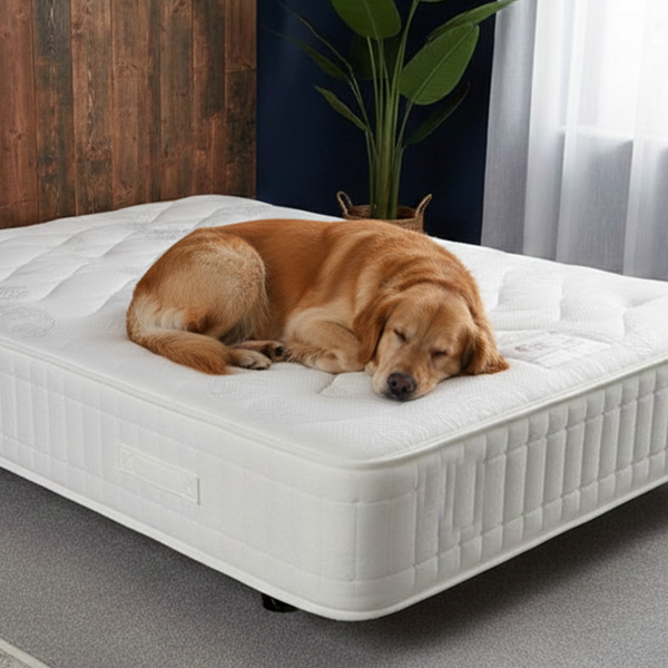 20 cm Deep Quilted Memory Foam Mattress